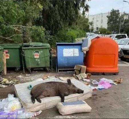 Ako vás a vašu izbu vidí mama